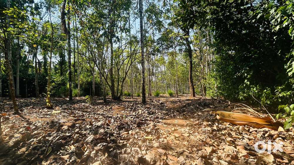 പുൽപ്പള്ളി  നിന്ന് ഒന്നര കിലോമീറ്റർ മാറി 58 സെൻറ് സ്ഥലം വിൽപ്പനയ്ക്ക്