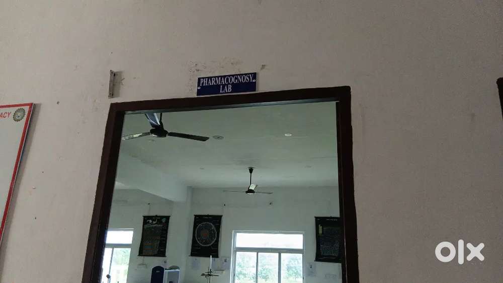 Experienced pharmacist and good eligible for patient care