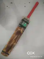 Cricket bat