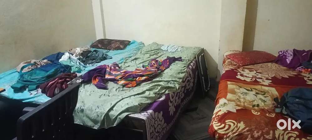 Need competitive student