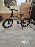 Raleigh cycle