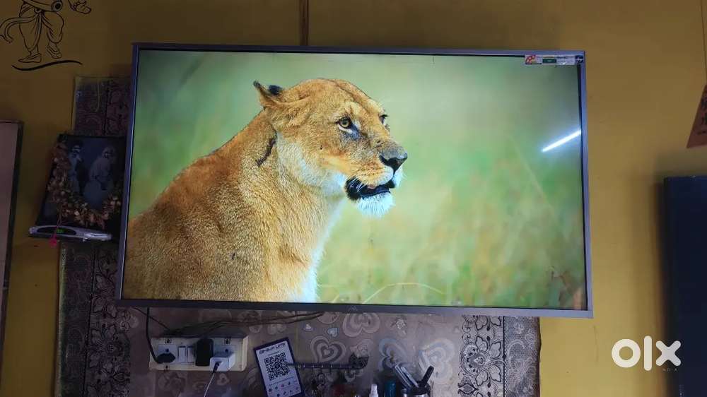 Iffalcon TCL 55 INCH 4K