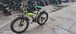 I am selling my 2023 cycle. Company named (Goose) model name (Mustang)