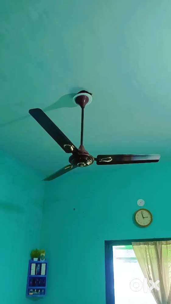Sealing Fan