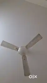 Ceiling Fan Crompton