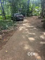25 cent square plot for sale in Chakkanchira,pariyaram puthupally ..
