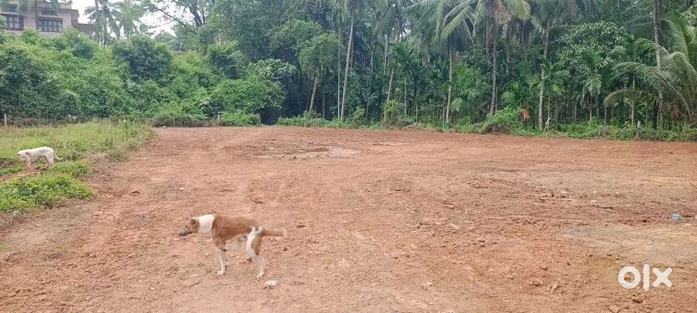 24 cents near ksrtc bcroad