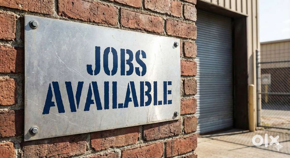 Female Office assistant for hostel