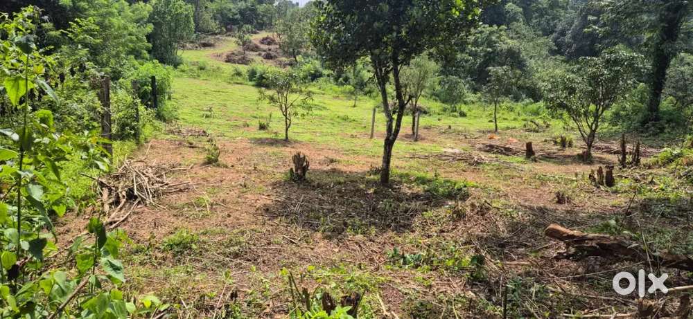 Plots for sale in Bethora Ponda Goa at just Rs 4500 per sqm