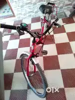 Lady Bird cycle