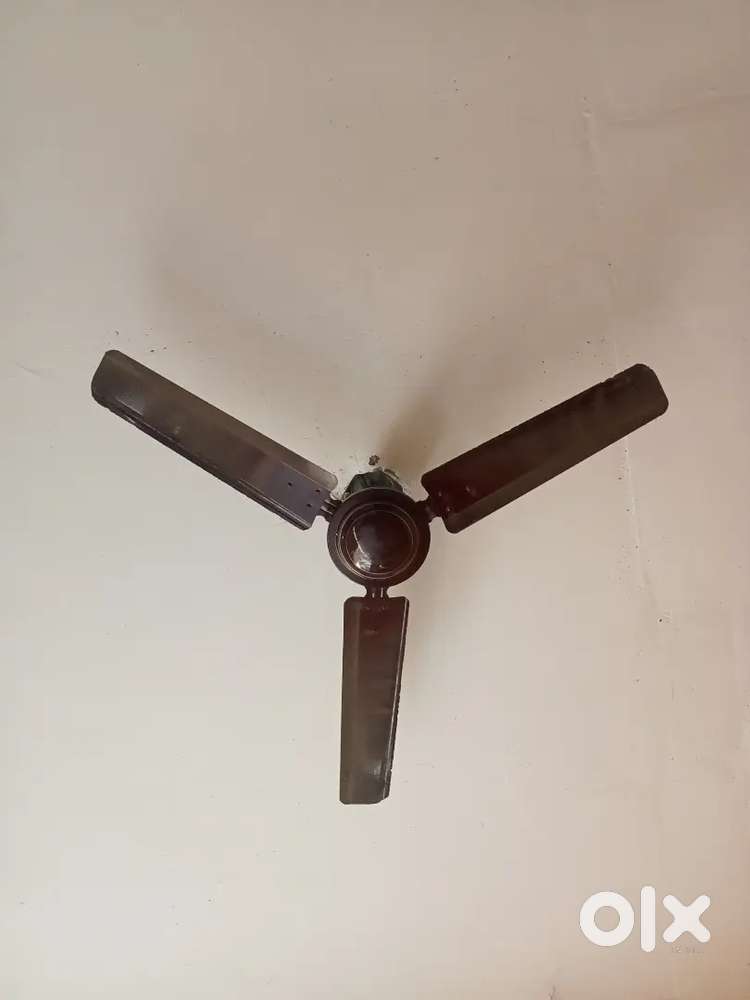 Ceiling fan