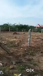 PLOT FOR SALE in Dalapathi Samudram (Perumalanji- Melur)