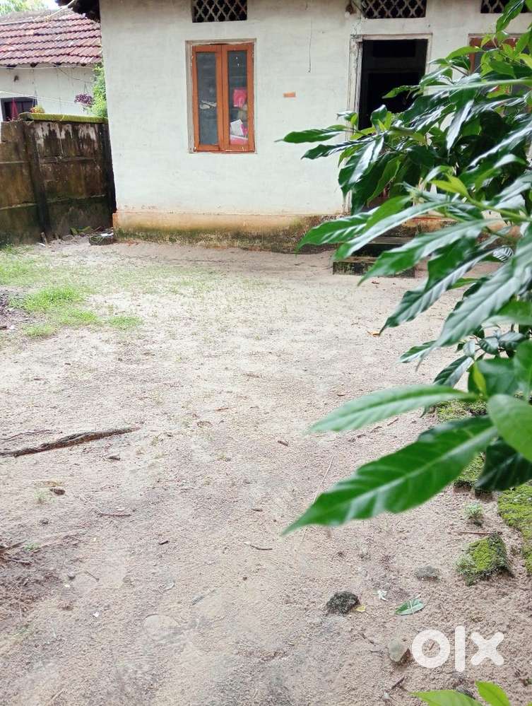 Compound walled property in the heart of the city