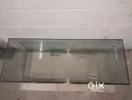 Aquarium sale
