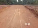 House Plot for Sale in Kakkanad – 3KM from Infopark, ₹8L/Cent