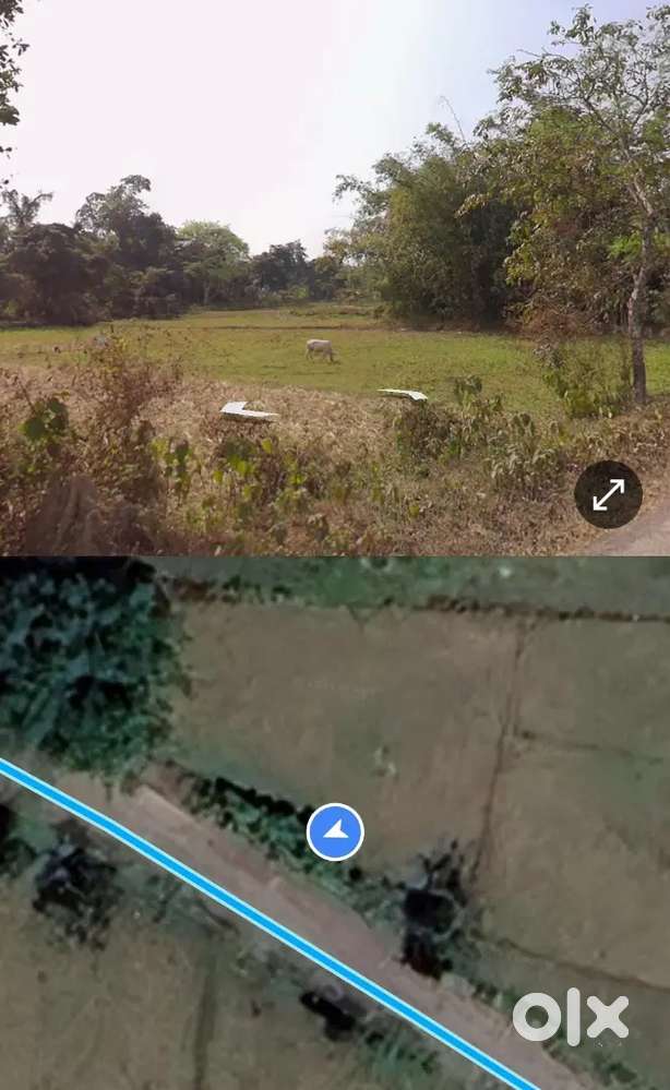 Koliabor miyadipatta land for sale