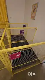 Urgent JOB For Dog Caretaker