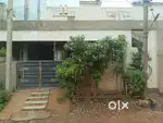 3.5 cent house (decade)