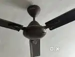 Ceiling fan
