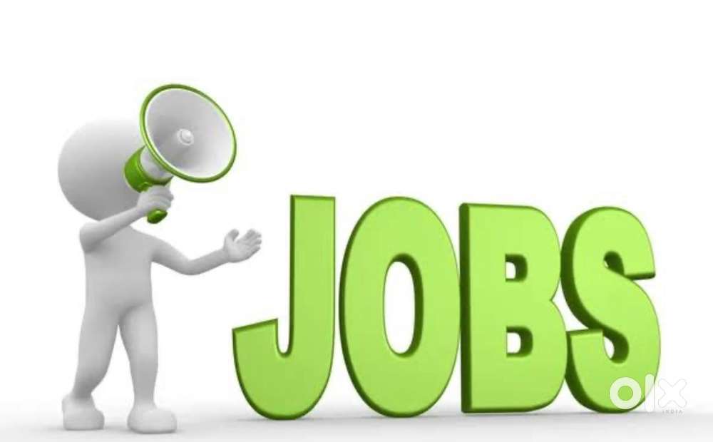 my office work ke liye persanal assistant need