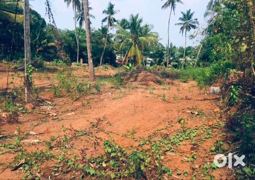 Commercial Land of 34 Cents close to NH66 near Honda Service Ctr KNPY.