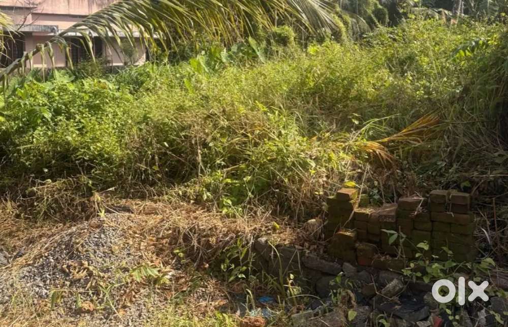 Chethikkode near kanjiramattom