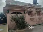 Individual House