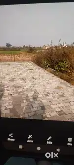 Near jda colony sakhi k Hanuman jhansi