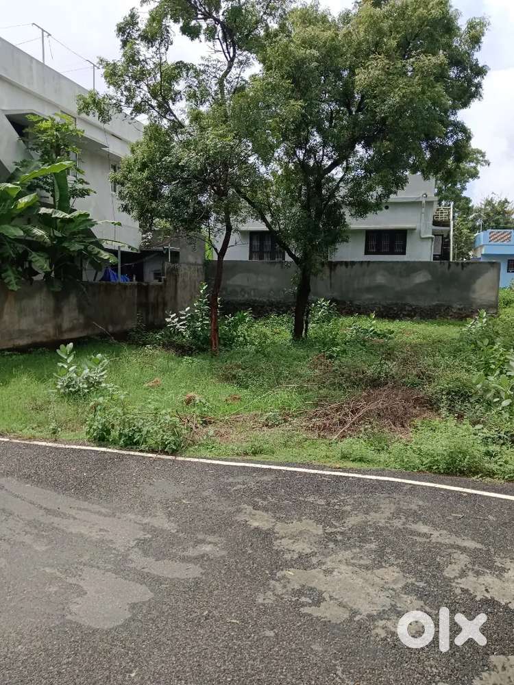5 Cent Residential Land for Sale in Gnanam Colony, Thammathu Konam