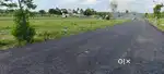Acre-Wise Land in Kinathukadavu & Othakalmandapam for Builders