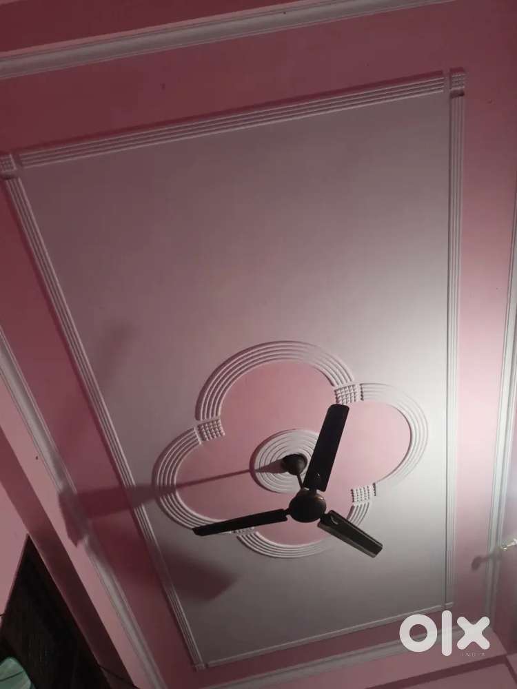 need roomate 1bhk rent 13000+electric bill room rent 4500per person