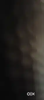 Delivery business
