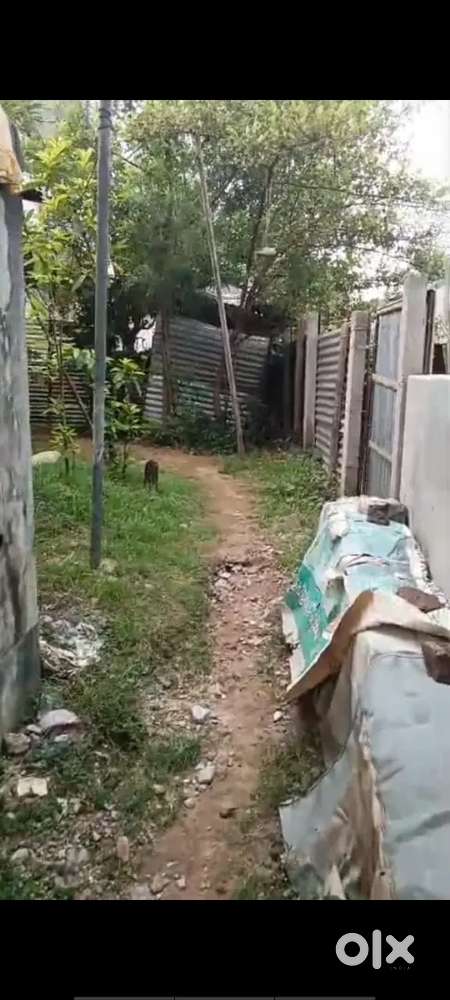 Urgent selling গাড়ি ঢুকবে না। মেইন রোড থেকে 30 মিটার ভিতরে।