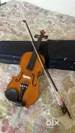 Violin musical instrument