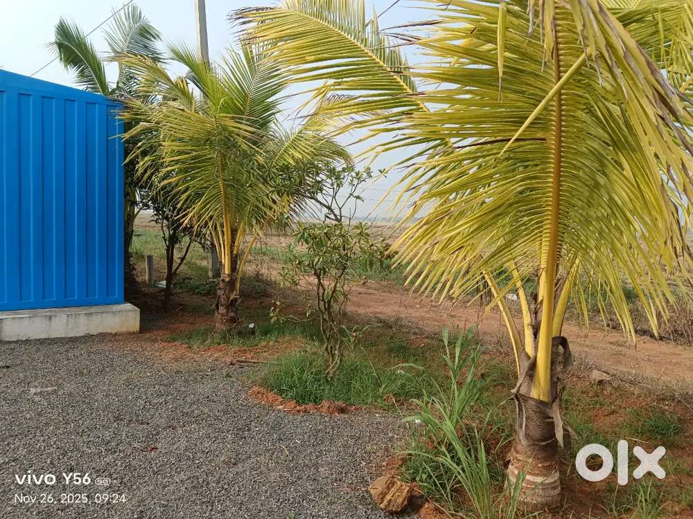 పెనమలూరు, gram gold ధరకే గజం స్థలం