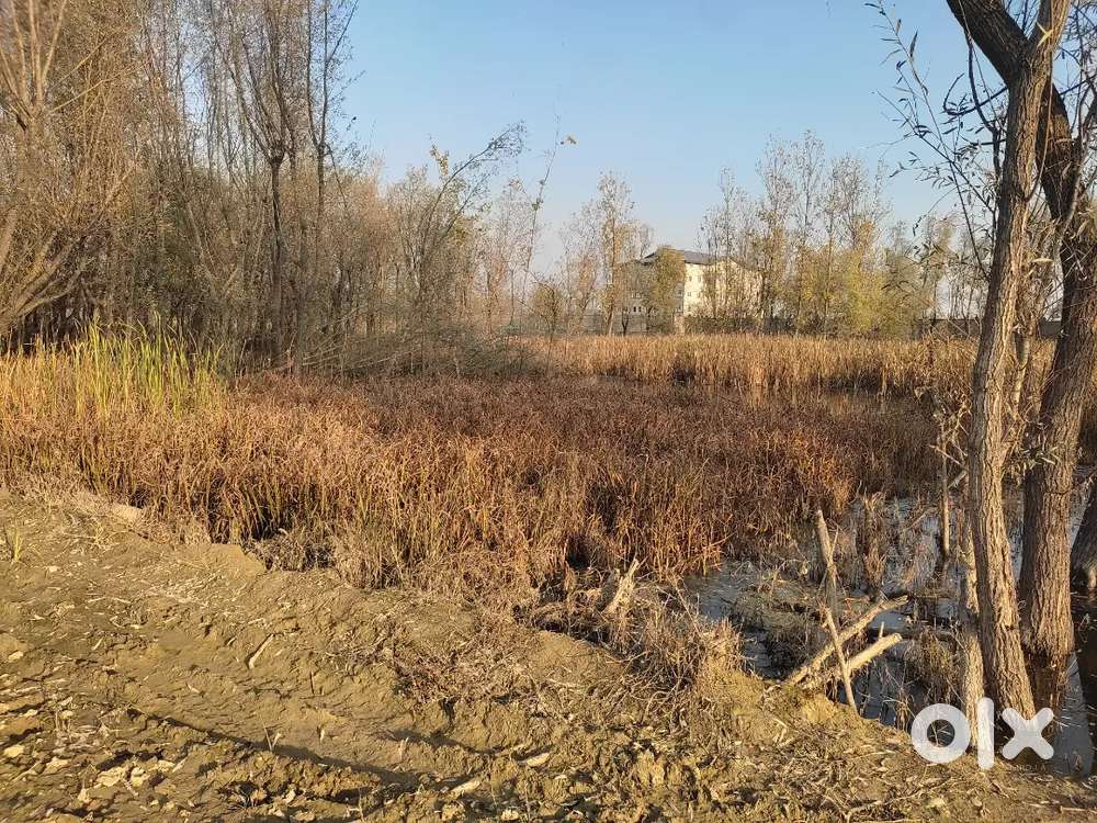 10 Marla Milkiyat Plot