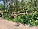 30cent plot for sale
