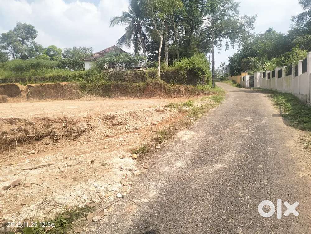 Chottanikkara temple near house plot for sale