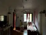 Dream house