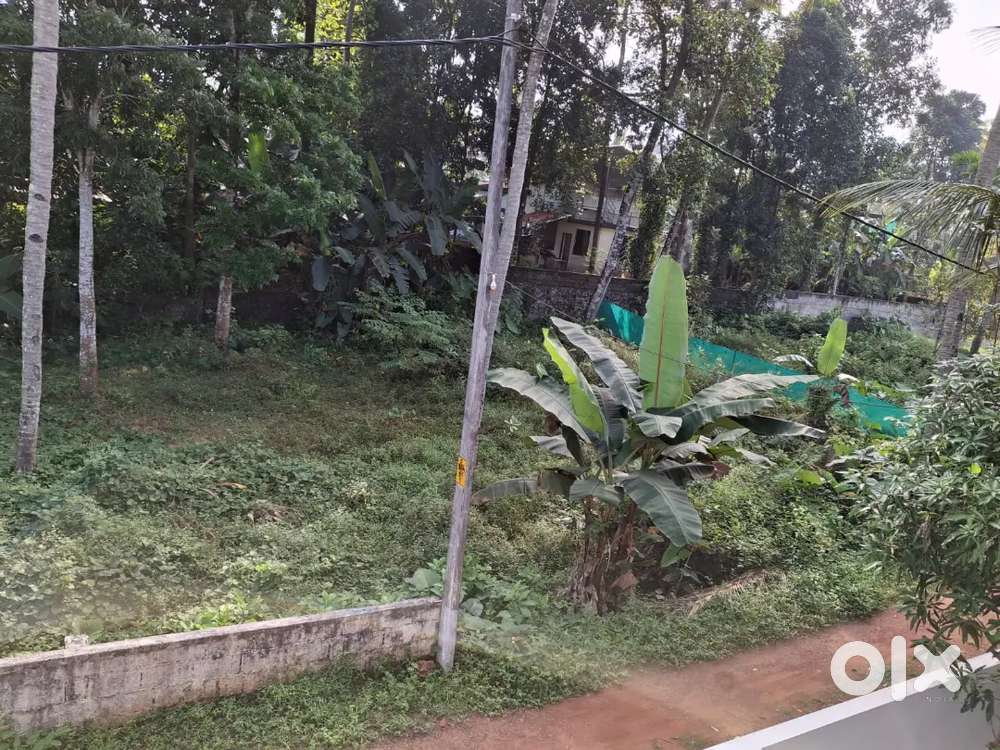 Changanacherry റയിൽവേ സ്റ്റേഷൻ ന് അടുത്ത് ഹൗസ്  പ്ലോട്ട്