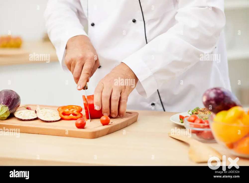 I Need :- Waiter Steward Fresher Helper Waiter Asst kitchen helper