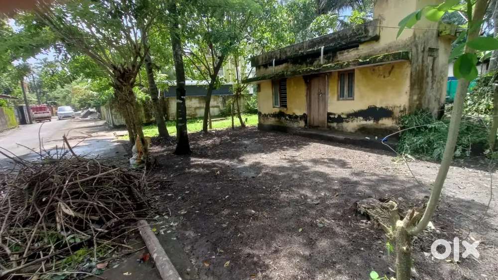 Plot for sale Thekkumbagom, Kollam