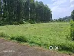 RESIDENTIAL PLOT READY TO CONSTRUCT IN SHIVPURI DHAULAS