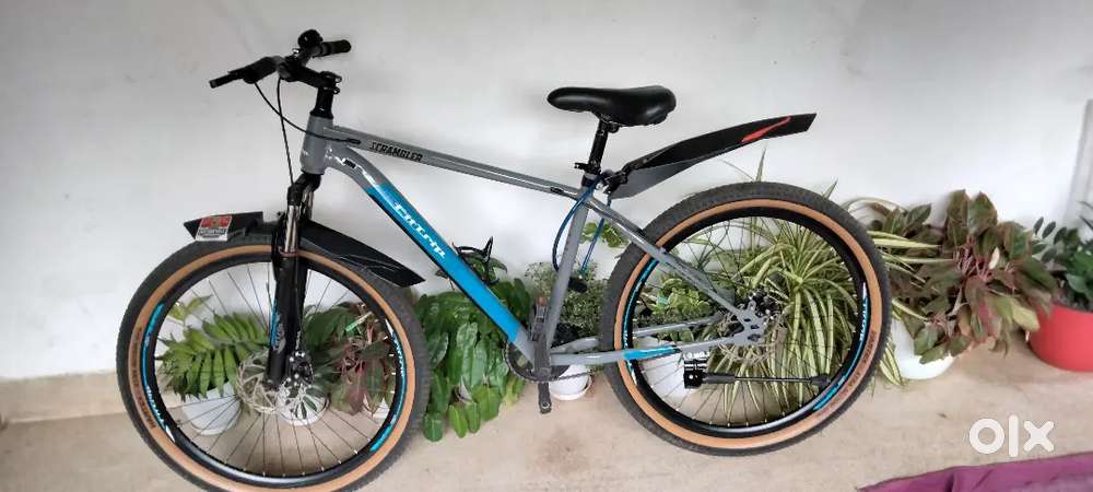 Scrambler fittrip Disc Cycle