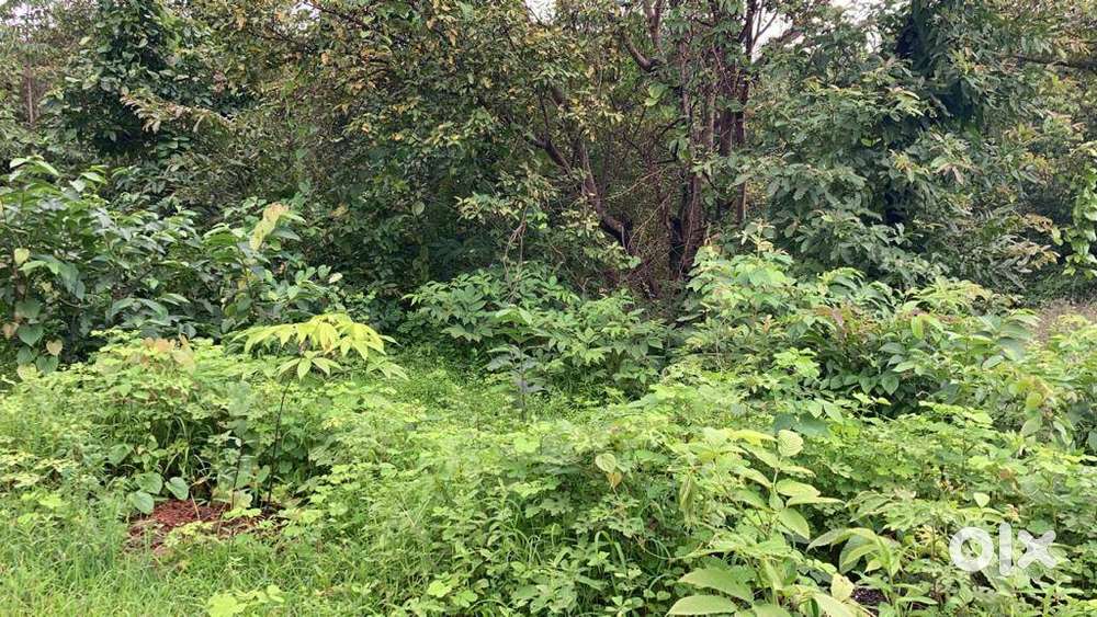 Plot for Sale in Khopoli Pali Road neax to Ganesh Temple