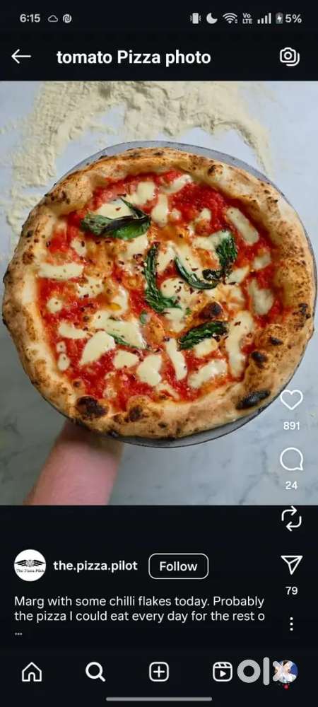 Pizza Cook And Fast Food