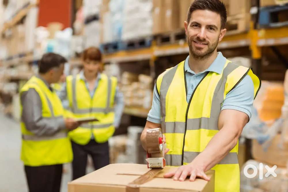 Warehouse Assistant chiner park