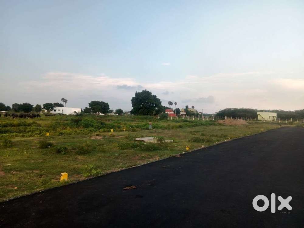 Approved  Residential Plots for Sale at Potheri