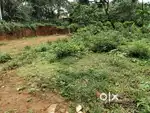 15 cent Land for sale new bypass  palakotuvayl