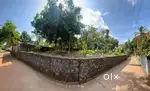17 cent residential plot for sale in Valanchery ( Valiyaliyakunnu)